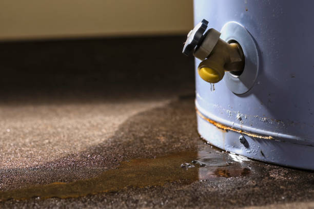 Best Professional water damage repair  in Chase, PA