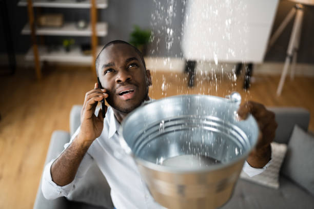 Best Water damage restoration near me  in Chase, PA