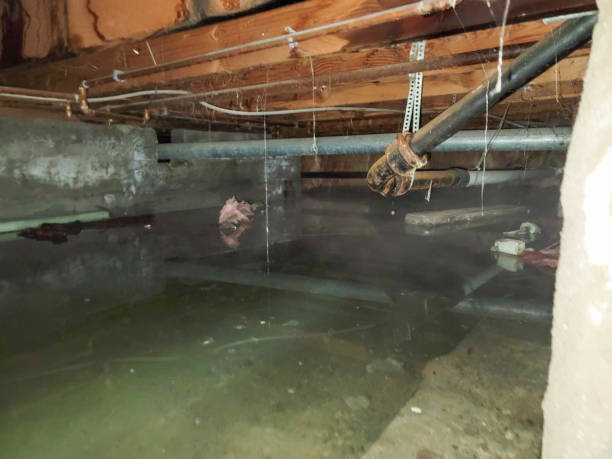 Best 24/7 water damage repair  in Chase, PA