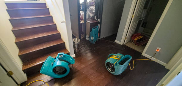 Best Sewage cleanup and water damage restoration  in Chase, PA