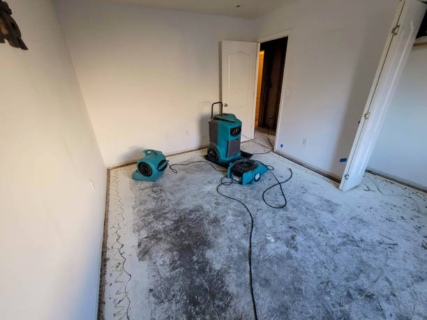 Trusted Chase, PA Water damage restoration Experts