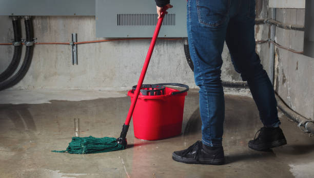 Best Water damage restoration near me  in Chase, PA